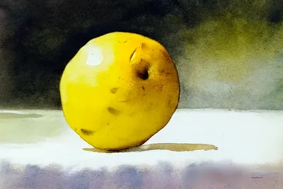 [김영희의 수필향기] 모과 한 알 -  맹난자