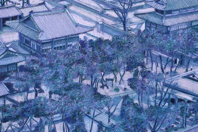 김란의 첫 개인전 ‘Throw back’ 노화랑에서 성황리에 열리고 있다.