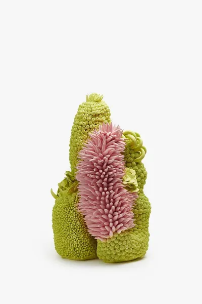 황진희 작가, 제8회 히즈아트페어 참가… ‘겉과 속의 경계’를 해체하다