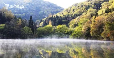 [김강호의 시조 아카데미 45] 박정호의 “세량지에서”