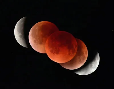 [KAN: 옴니버스 아트] 개기월식, 붉은 사랑의 은유