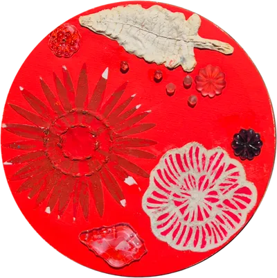 김혜란 작가, 뱅크아트페어 참가… 식물의 생명력으로 그려낸 치유의 정원