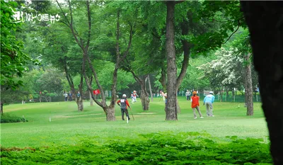 연간 3만 명 찾는 서울 잠실파크골프장 4.1.(수) 재개장… 3.15.(일) 예약