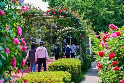 [KAN] 천만송이 활짝피는 서울장미축제로 초대합니다