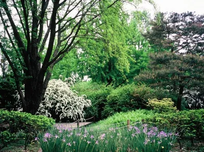 100년 산림 연구의 요람, 홍릉숲 국민 품으로 다시 태어난다
