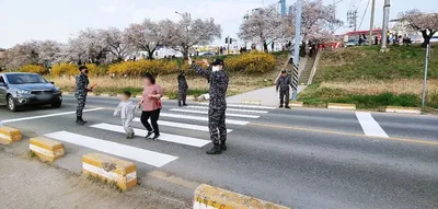 청주시, 무심천 벚꽃개화기 안전관리에 2,500명 투입