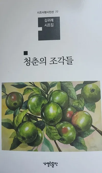 김귀례 시조집 『청춘의 조각들』 출간 – 청춘을 다시 불러내는 내면의 감각