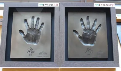 [KAN] 고양시, BTS WORLD TOUR‘ ARIRANG’ IN GOYANG 특별전 개최