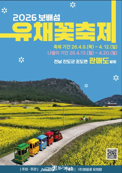 유채꽃 황금물결 장관… 진도 관매도, 7만5천평 봄빛으로 물들다