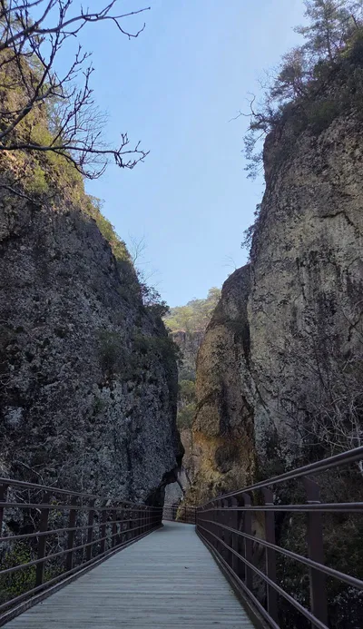 [기고] 하마(火魔)가 할퀴고 간 자리, 다시 꽃이 피다
