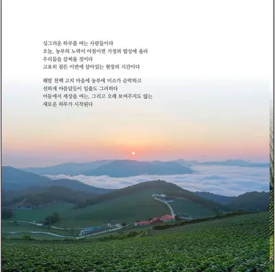 [KAN] 한국사진작가협회회원 손병규 작가의 디카시 "시대를 접다"