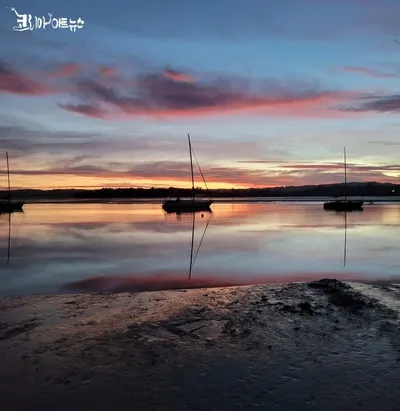 [KAN] 뉴질랜드에서 전해온 문학편지... 최미봉 작가의 "동구박 닿소리"