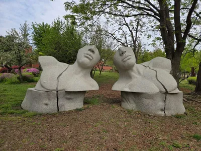 [기고] 눈을 잃고서야 마주한 대화