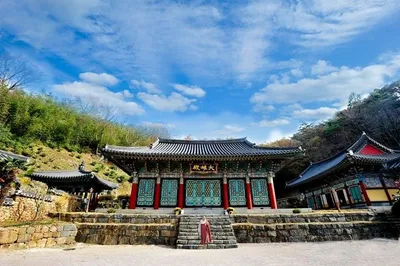 [김강호의  시조 아카데미 55] 염창권의 "증심사 가는 길"