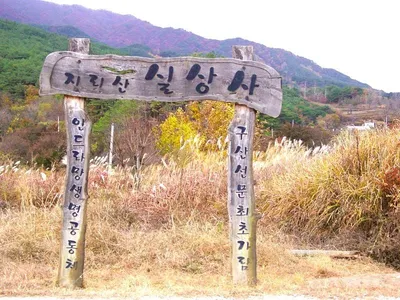 [홍영수의 세상보기] 인드라網, 거미줄에 맺힌 이슬방울에서 보다.