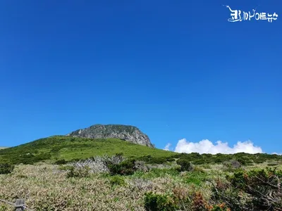 [김강호의 시조 아카데미 59] 최영효의 “한라산”