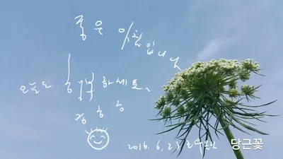 [기고] 당근꽃이 피기까지