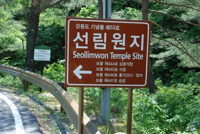 [홍영수의 세상보기: 시]  선림원지(禪林院址)를 가다 / 홍영수