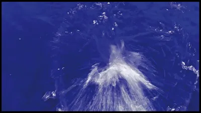 비디오아트 거장 파브리치오 플레시, 프랑크푸르트 DIE GALERIE서 ‘SPLASH – WATER (E)MOTION’ 개최