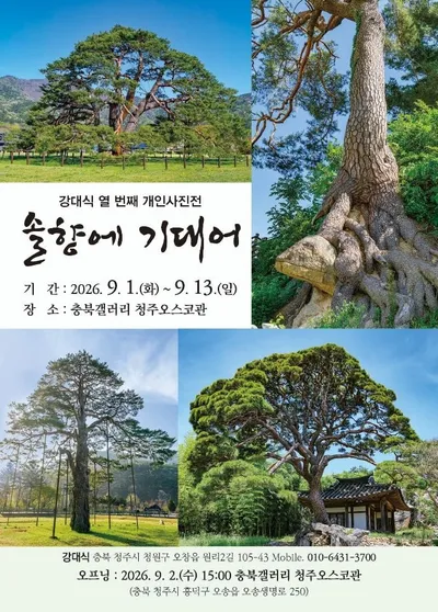 나무는 세월을 말하고, 색은 마음을 전한다...두 작가가 건네는 삶의 이야기